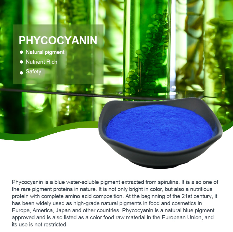 Spirulina E18 Phycocyanin-Pulver in Lebensmittelqualität, natürliches blaues Farbpigment